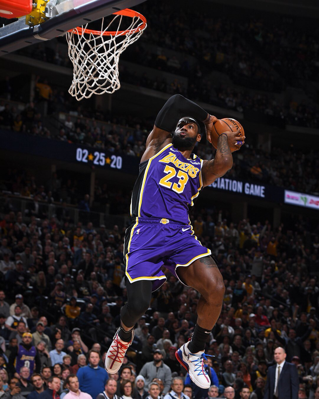 纳入模型 纳入模型